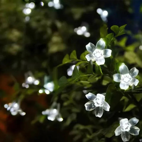 solar powered garden flower lights flowerlume